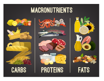 What are macronutrients and why are they so important in strength ...